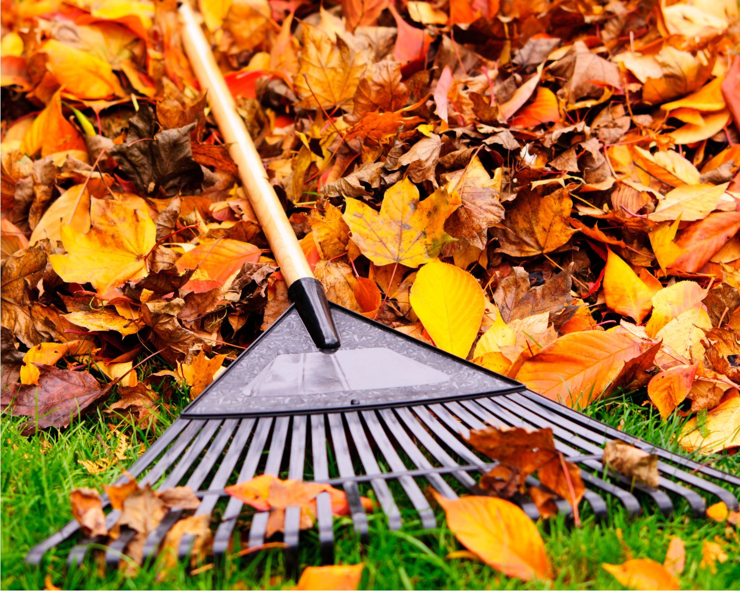 To Remember in September: 5 Fall Maintenance Tips for Cooler Temperatures